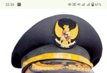 Pemerintah Kabupaten Pasaman Barat Terbitkan Surat Edaran Tentang Pembatasan Kegiatan ASN Di Media Sosial