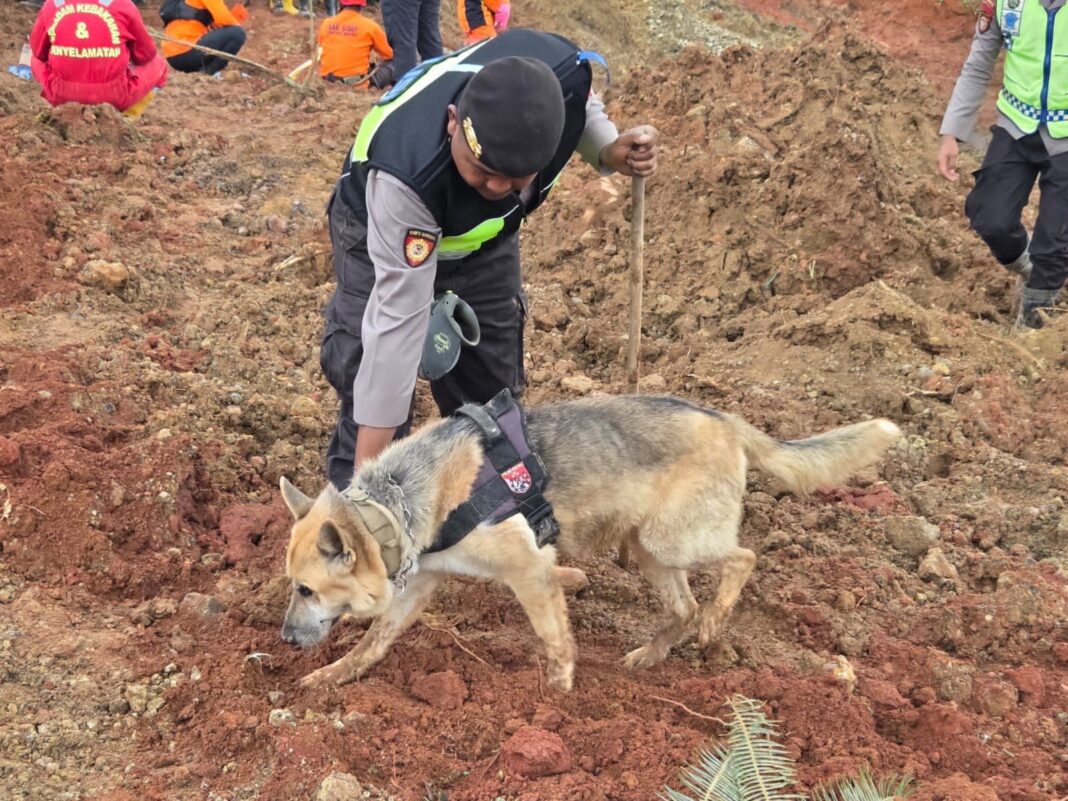 Tim K9 Polri melakukan pencarian korban longsor di Majenang, Cilacap